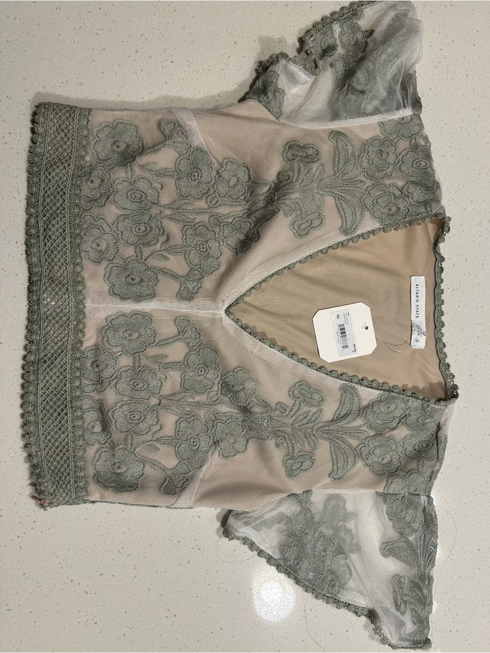 Altar'd State Sheer Embroidered Floral V-Neck Top - Sage Green
